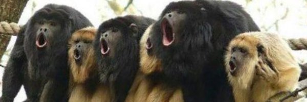 ΑΥΤΟΣ ΕΙΝΑΙ ΣΤΡΑΤΟΣ…