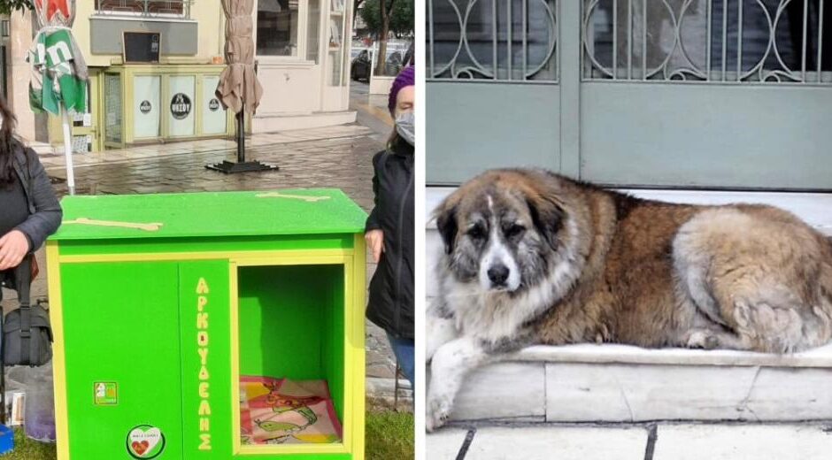 Αντίο στον ελεύθερο σκύλο (Αρκούδη) που είμαστε όλοι