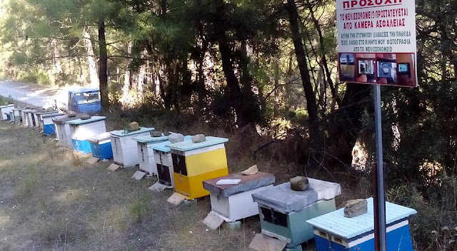 Τέλος στις κλοπές με μια πανέξυπνη ιδέα! Δείτε πως έχει σώσει τα μελίσσια του απο τους κλέφτες…