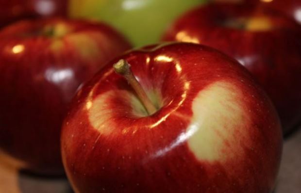 Μήλα: Θερμίδες, ιδιότητες, απίστευτα οφέλη υγείας, αλλά και πιθανοί κίνδυνοι που πρέπει να ξέρετε