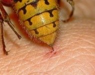 ΦΕΥΓΟΝΤΑΣ…