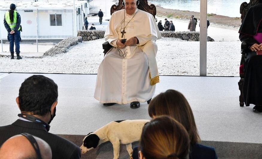 Πάπας Φραγκίσκος: Ο σκύλος που του έκλεψε την καρδιά στη Μυτιλήνη – Μοναδικά στιγμιότυπα