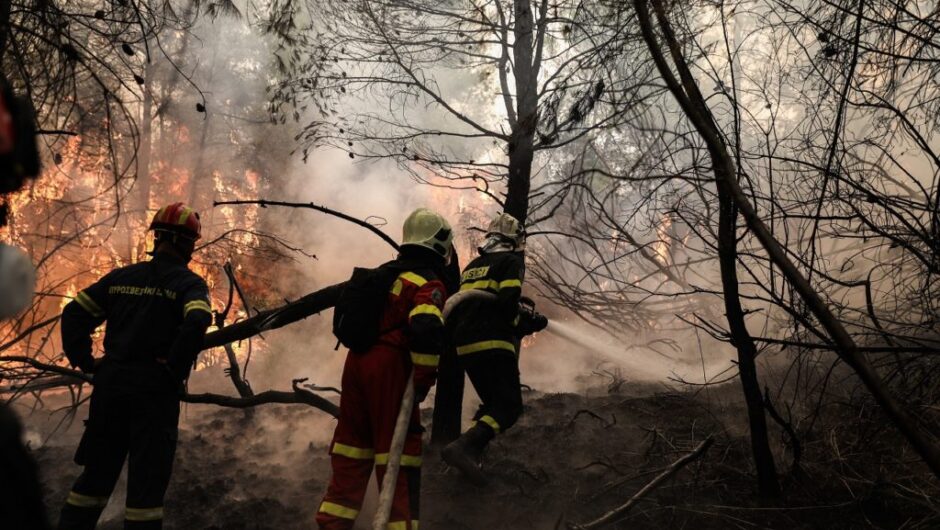 Ελλάδα: «Στάχτη» πάνω από 1,3 εκατ. στρέμματα δάσους – Πόσες πυρκαγιές ξέσπασαν σε έναν χρόνο