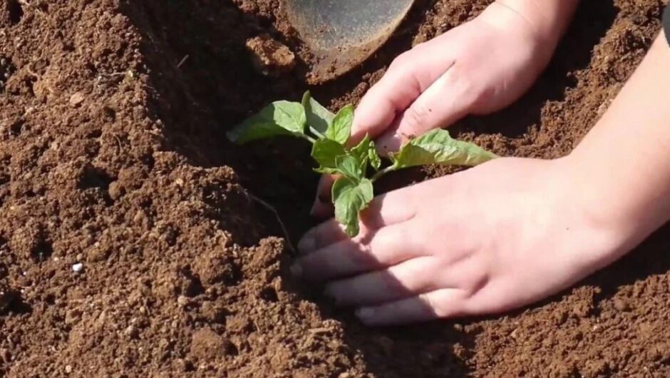Γιατί είναι ανάγκη να τη θυμόμαστε