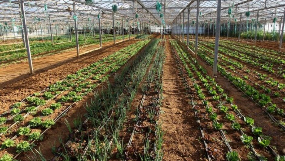 Βιολογικές καλλιέργειες: Νέο πρόγραμμα προϋπολογισμού 490 εκατ. Ευρώ..Περιλαμβάνει και μελίσσια..