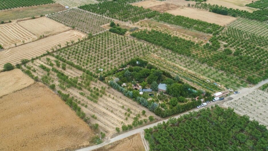 Ένα οικοχωριό «γεννιέται» λίγο έξω από τη Λάρισα! (φωτ.)