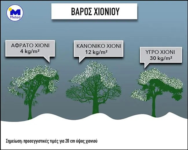 Το βαρύ χιόνι, το ελαφρύ χιόνι και τα δέντρα