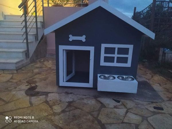 Πως θα λύσετε το πρόβλημα της τουαλέτας για το κατοικίδιο