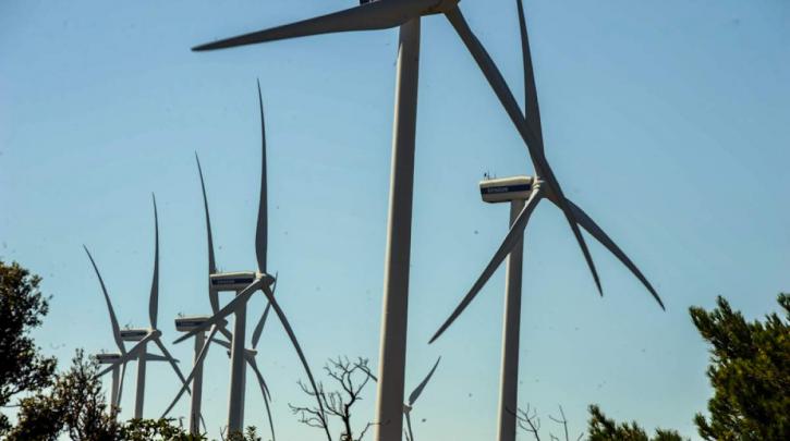 Καταφεύγουν στο ΣτΕ για να σώσουν την Κάρυστο