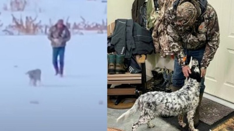 Ρίγη συγκίνησης: Άντρας ξεσπά σε κλάματα όταν βρίσκει μετά από καιρό τον σκύλο του που χάθηκε στο χιόνι (video)