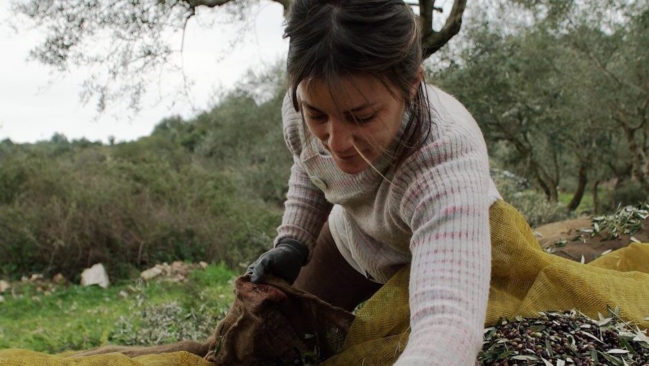 Σε 17.488 ο αριθμός των τελικών αιτήσεων στο Μέτρο Νέων Αγροτών