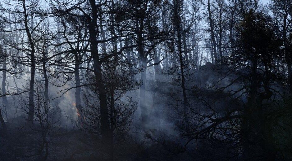 Το 2021 κάηκαν στην Ελλάδα τόσα στρέμματα όσα την οκταετία 2013–2020