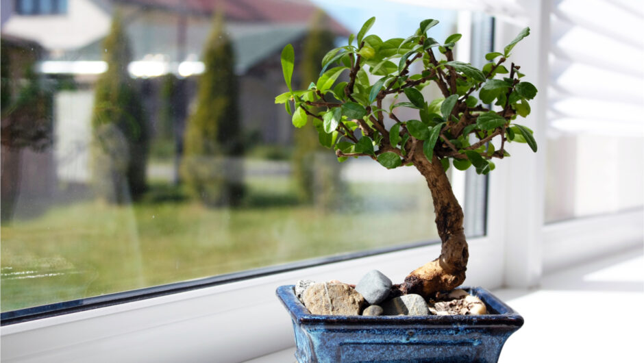 Feng Shui: 10 πράγματα από τα οποία είναι καλό να απαλλαγούμε άμεσα