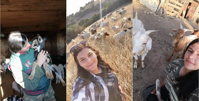 Η 20χρονη που βόσκει 100 γιδοπρόβατα στην Εύβοια