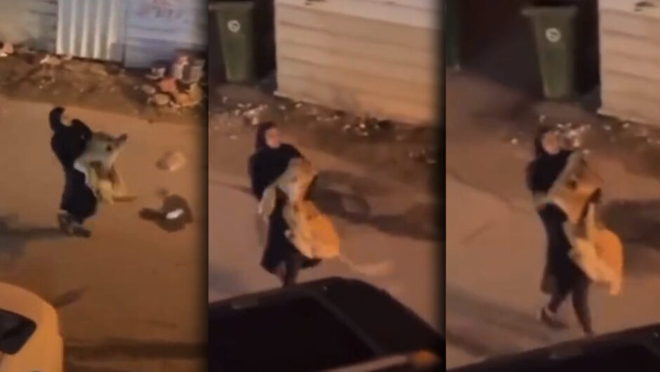 Βίντεο που σοκάρει – Κορίτσι προσπαθεί να μαζέψει το οικόσιτο λιοντάρι της από τον δρόμο