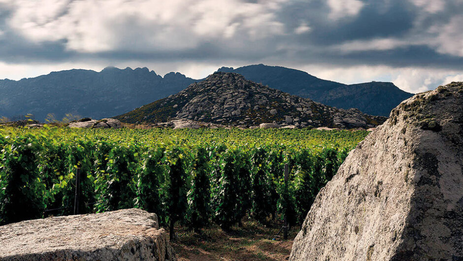 Γιατί τα κρασιά της Τήνου είναι διάσημα σε όλο τον κόσμο;