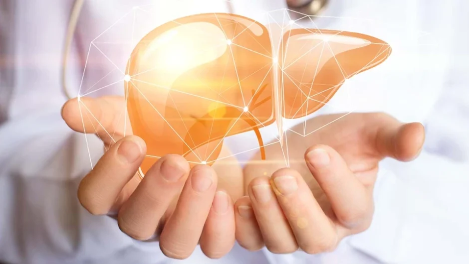 Ήπαρ: Το πασίγνωστο φυτό που αποτρέπει την συσσώρευση λίπους