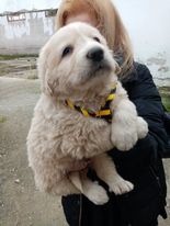 Ατάκες απο την Λητώ