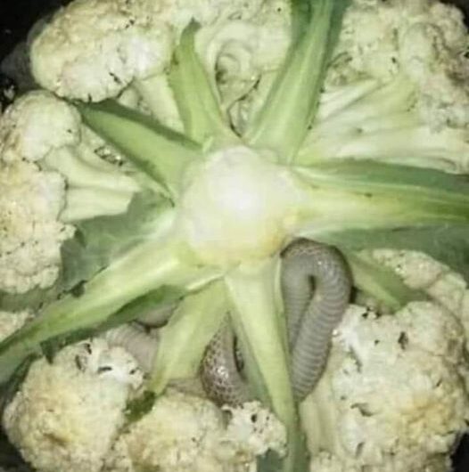 Να προσέχετε