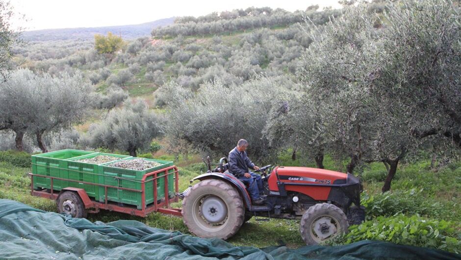 Η οικονομική συγκυρία στον αγροτικό τομέα και τα «μπαλώματα» Λιβανού