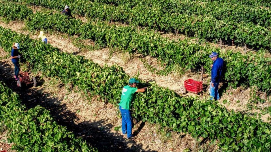 Χαράλαμπος Κασίμης / Απαιτείται στήριξη της γεωργίας με εθνικούς πόρους