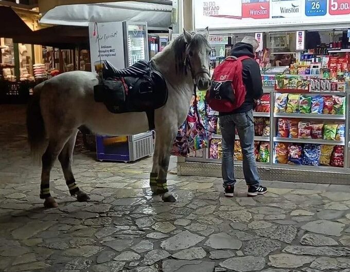 Η Λύση απέναντι στα αυξημένα καύσιμα….τρελλή πόζα το αλογάκι