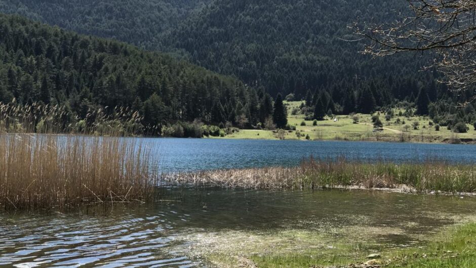 Περιβάλλον / Επιβαρύνονται οι περιοχές Natura με τις νέες χρήσεις γης