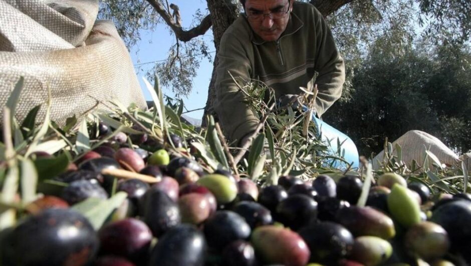 Ο πρωτογενής τομέας σήμερα και οι προκλήσεις του αύριο