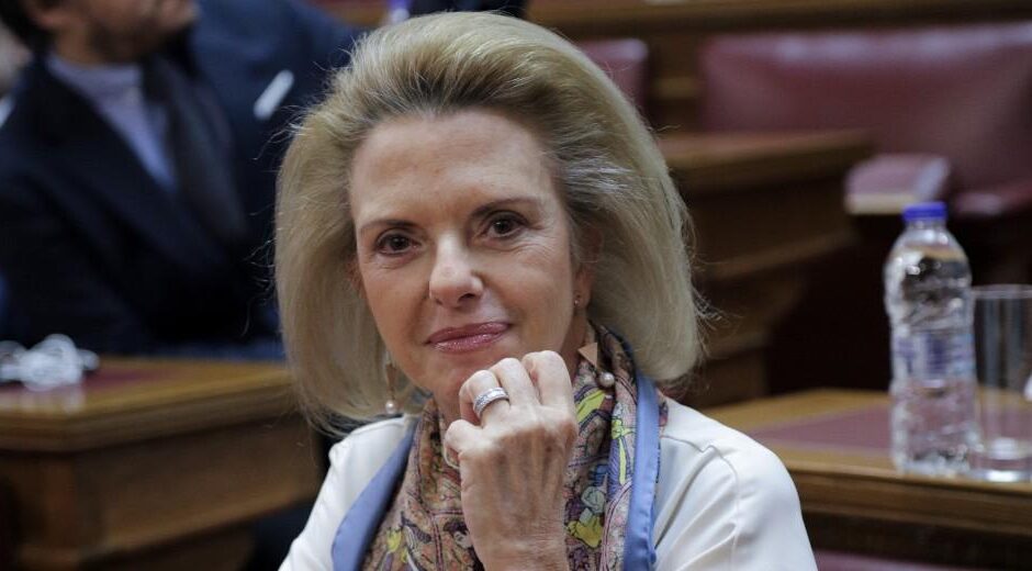 «Επικός» διάλογος ανάμεσα στην Ελ. Βόζερμπεργκ και σε τρολ προφίλ του Τσακαλώτου