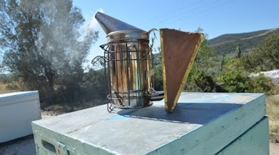 Τσουκνίδα,σπανάκι,θυμάρι,ευκάλυπτος,ρίγανη και πολλα αλλα βοτανα κατα της βαρροα