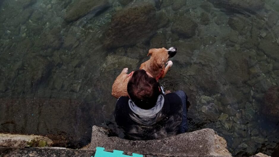 Βολιώτης βούτηξε στην παγωμένη θάλασσα για να σώσει τη σκυλίτσα του