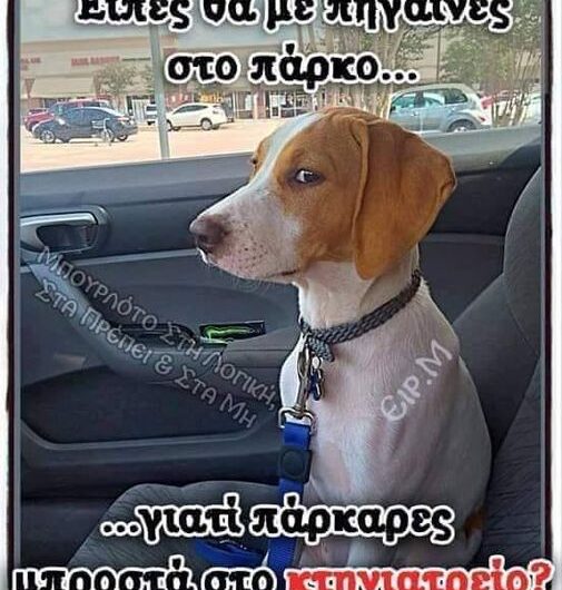 Γιατί στο κτηνιατρείο???