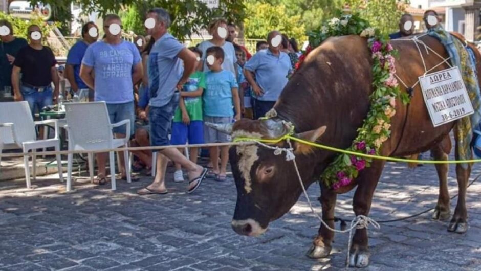 Κόσερ – Χαλάλ / Πόσο ηθικές είναι οι λατρευτικές σφαγές;