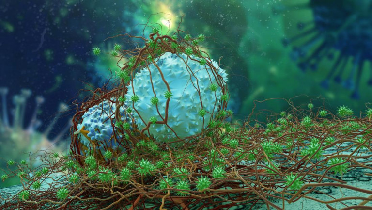 Ελπιδοφόρα ανακάλυψη για τους καρκίνους προχωρημένου σταδίου των ωοθηκών και του παχέος εντέρου