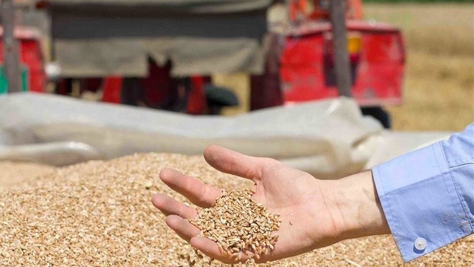 Τώρα που το ψωμί ξαναβρίσκει την αξία του αναγνωρίζεται ο αγρότης