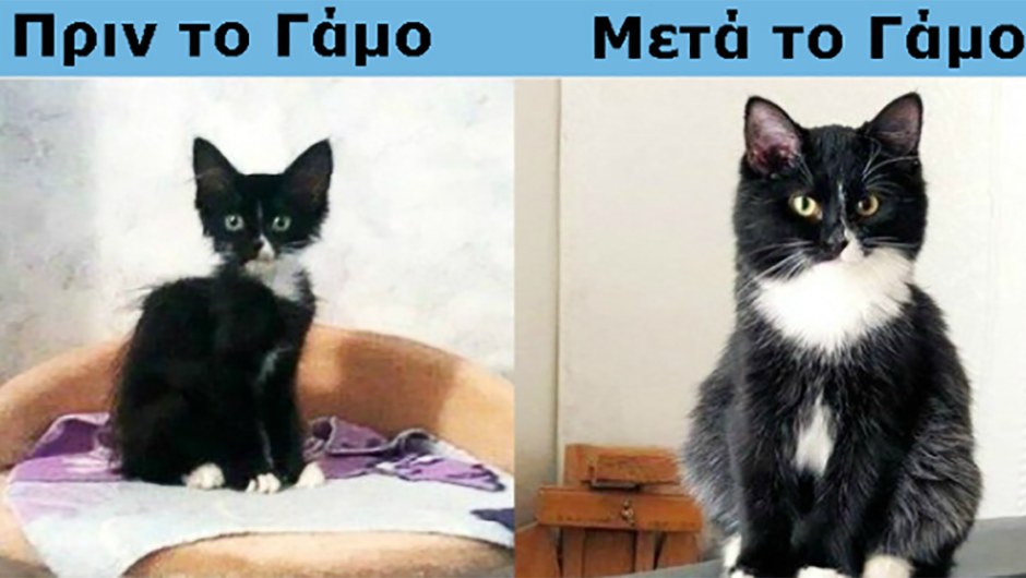 Πως αλλάζει η ζωή των ζευγαριών μετά το γάμο, μέσα από 9 ξεκαρδιστικές φωτογραφίες.
