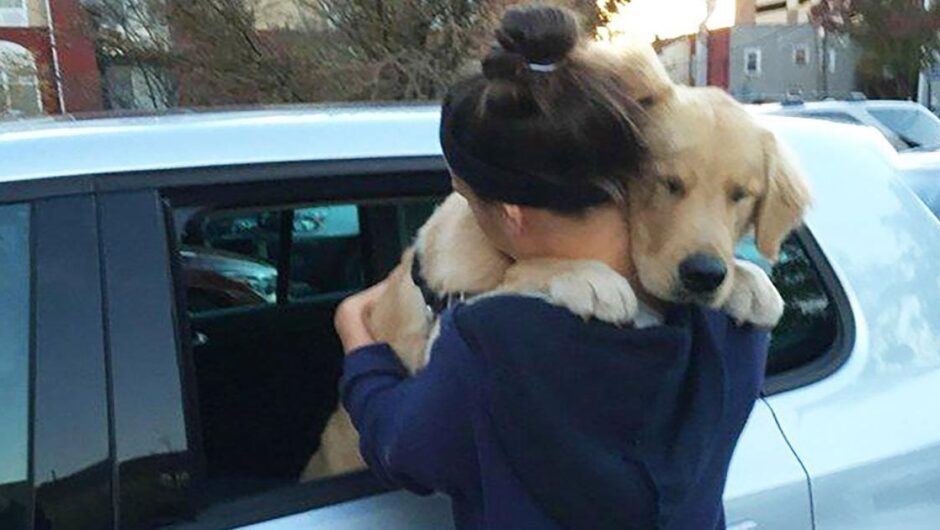 13 τρυφερές φωτογραφίες με σκύλους που αγκαλιάζουν τους ιδιοκτήτες τους και θα σας λιώσουν την καρδιά