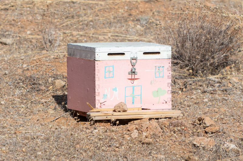 Μελισσοκόμοι: Χορήγηση ατομικής ψηφιακής ταυτότητας