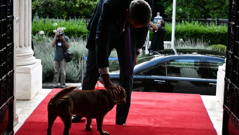 Peanut / Δάγκωσε τον Σκέρτσο μέσα στο Μαξίμου