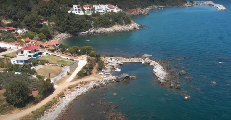 Εντυπωσιακό βίντεο: Πολυδένδρι, ο κρυμμένος θησαυρός στα παράλια της Λάρισας