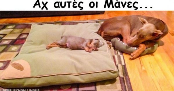 Φωτογραφίες που τάραξαν το διαδίκτυο