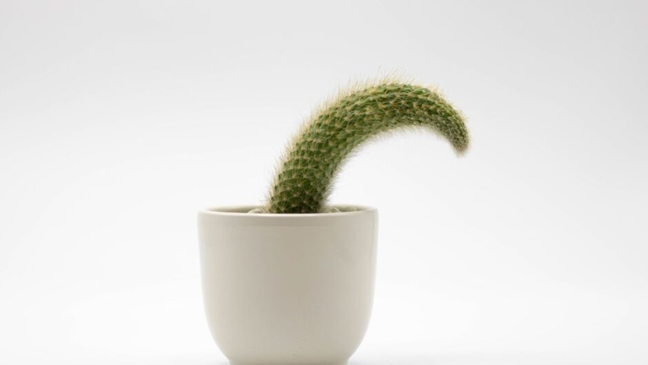 Πώς το μυαλό σου μπορεί να προκαλέσει προβλήματα στύσης