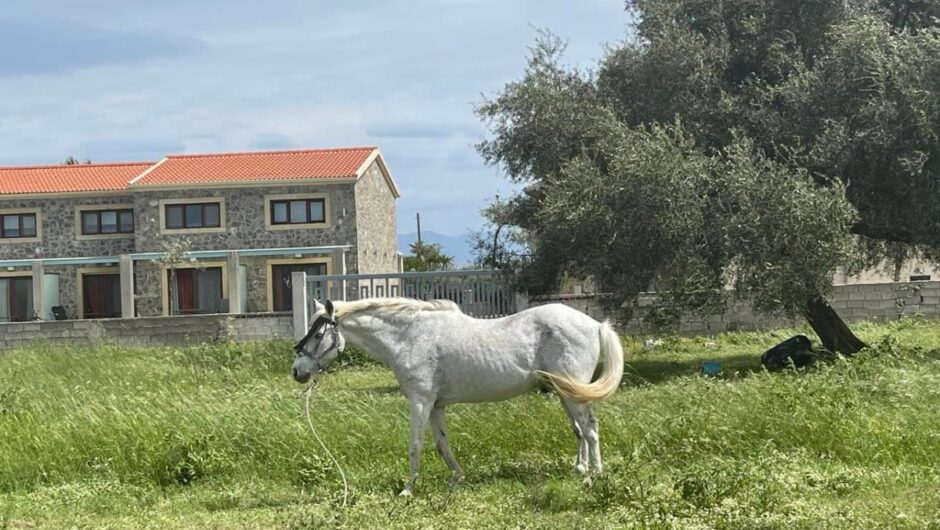 «Τρέχει» το πρόγραμμα του Πράσινου Αγροτουρισμού