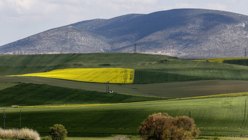 Αυτό είναι το χωριό της Λάρισας που έγινε πόλος έλξης για επιχειρήσεις