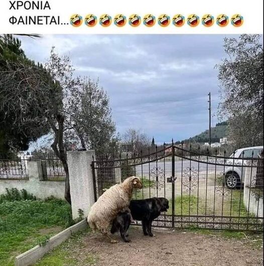 Μεταλάξεις…