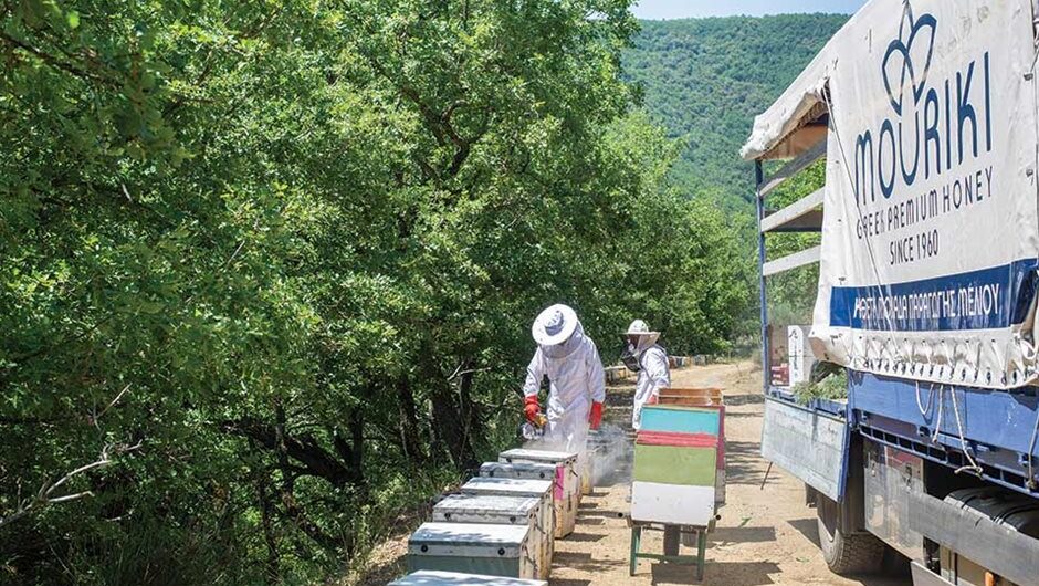 Βόµβα υγείας το µέλι της βελανιδιάς