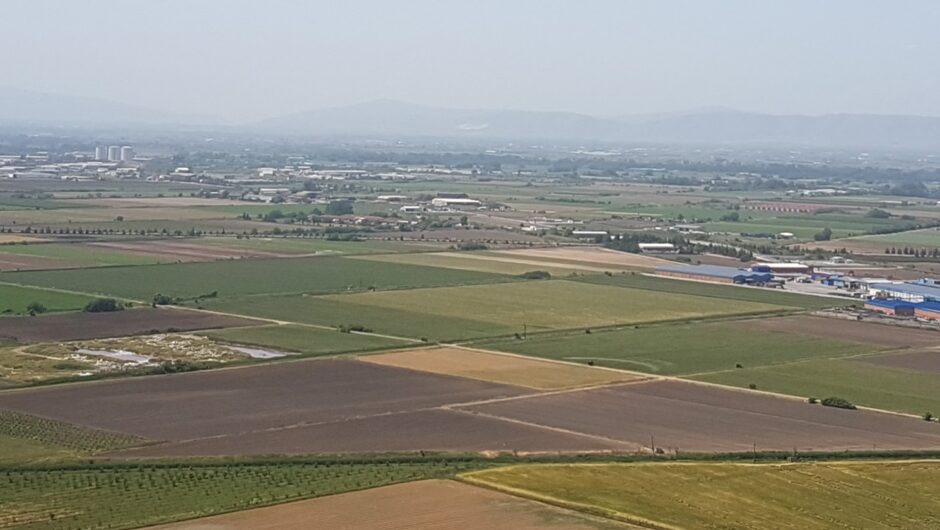 Τίτλοι-εξπρές για τα χωράφια – Πώς θα επιστραφούν οι δασωθέντες αγροί στους ιδιοκτήτες