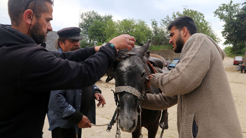 Στο «γομαροπάζαρο» του Τυρνάβου η ιστορία ζωντανεύει (φωτ. & βίντεο)