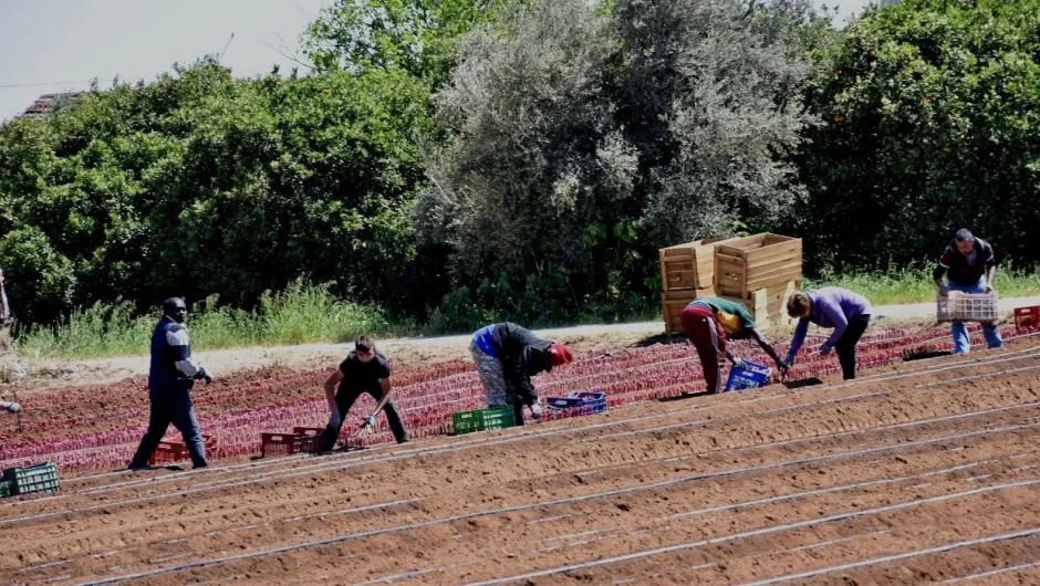 Διατροφική ανεπάρκεια στην Ελλάδα – Εισάγουμε όλα τα βασικά αγαθά
