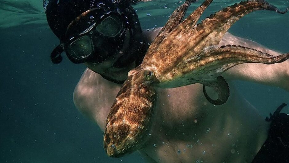 Ιστορίες χωρίς φωνή / Πανέξυπνα, αλλά χωρίς δικαιώματα